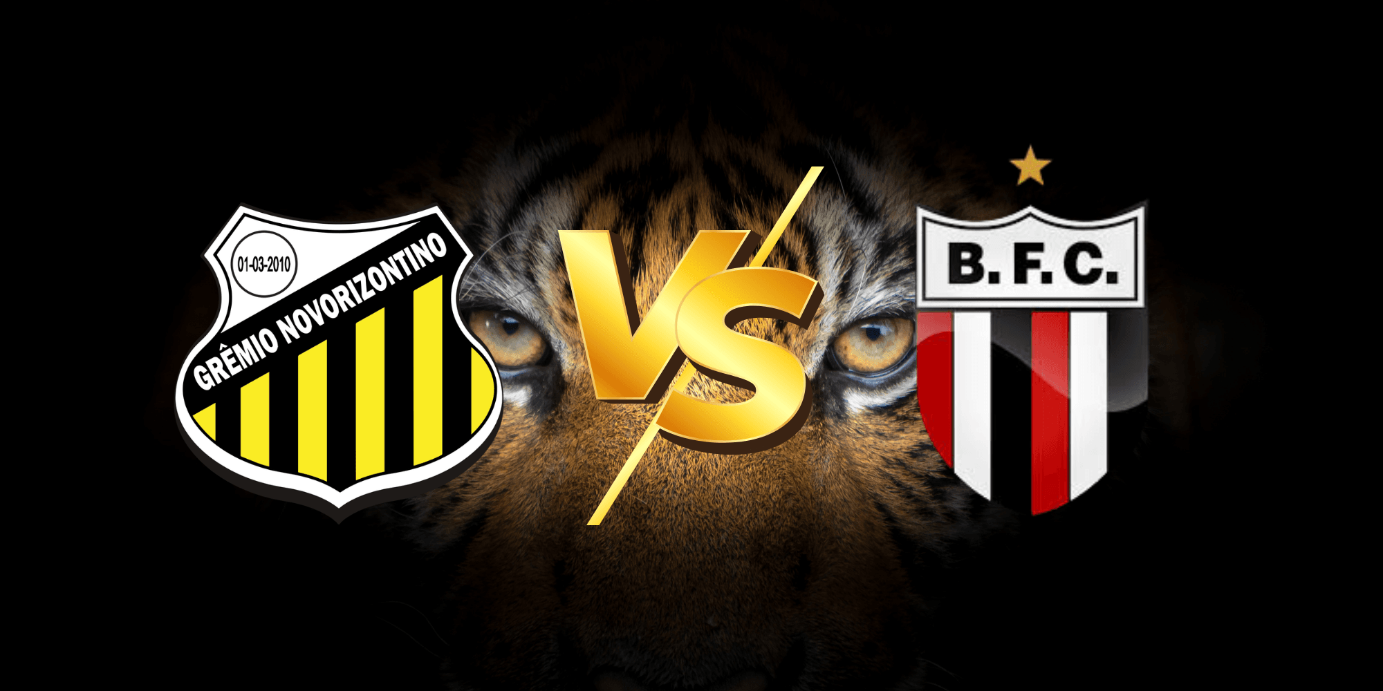 Novorizontino x Botafogo-SP: Clássico Paulista no Jorjão Decide o Próximo Salto na Série B